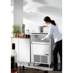 Arktic Ijsblokjesmachine 90kg/dag (42kg voorraad)