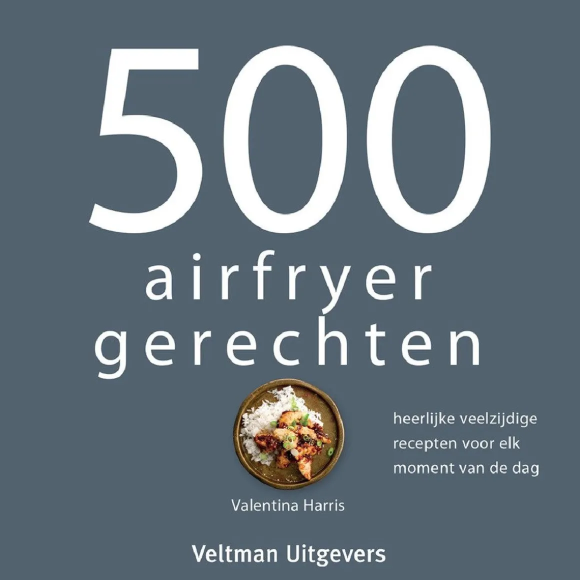 Boek: 500 Airfryer Gerechten