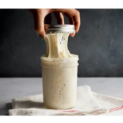 Brod & Taylor Sourdough Home (Zuurdesem kast)