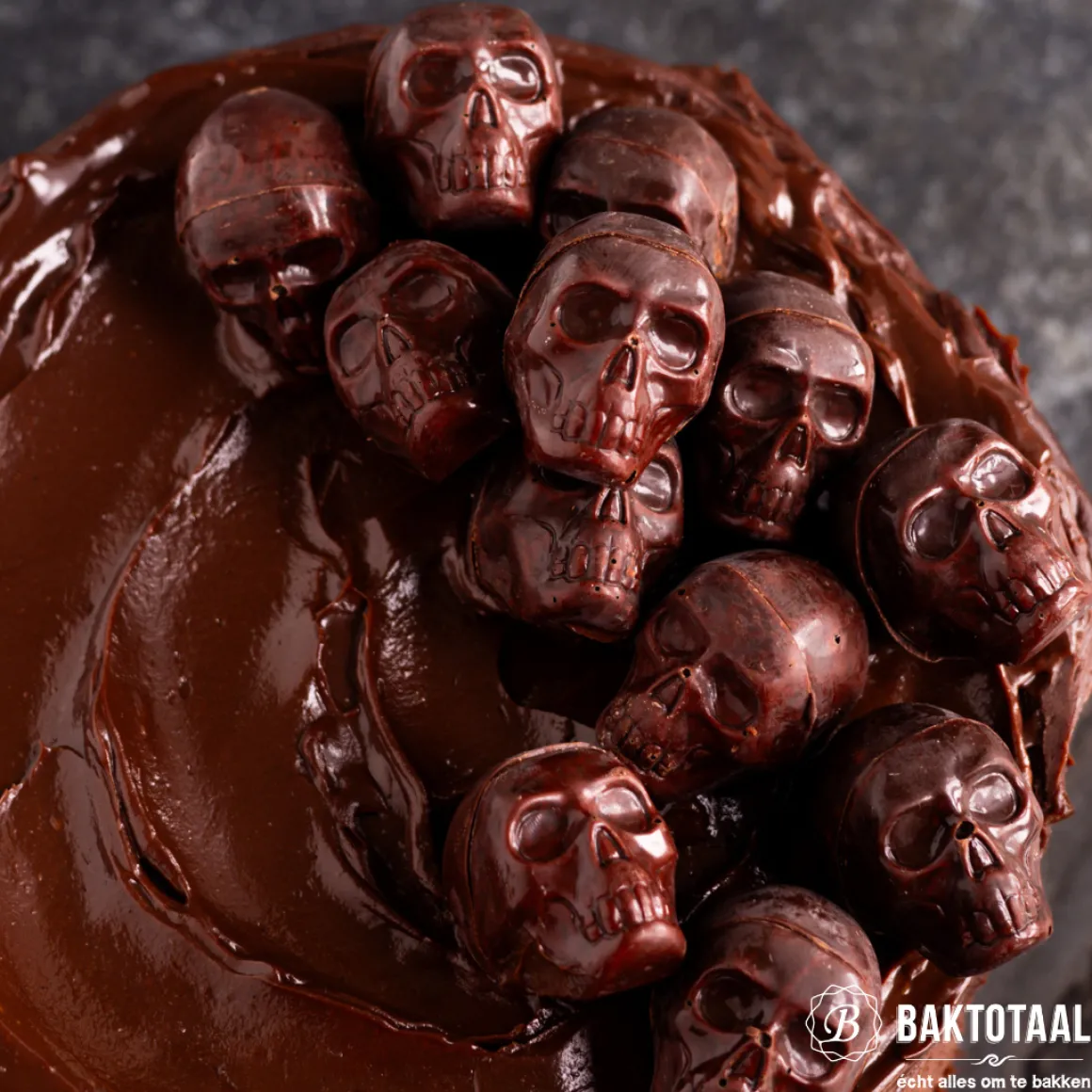 Callebaut Chocolade Callets Puur (811) 1kg