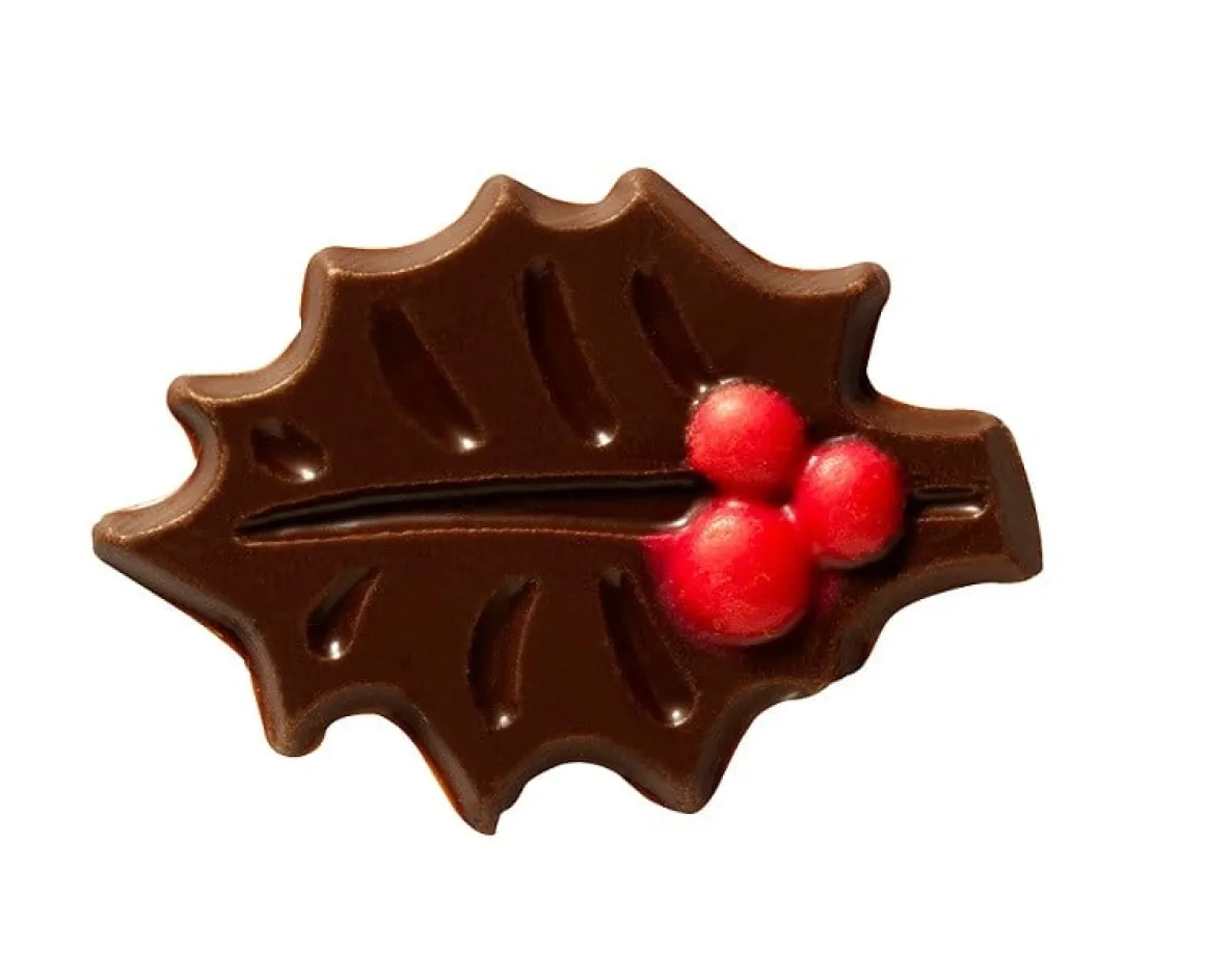 Callebaut Chocoladedecoratie Donkere Hulst Bladeren 240st