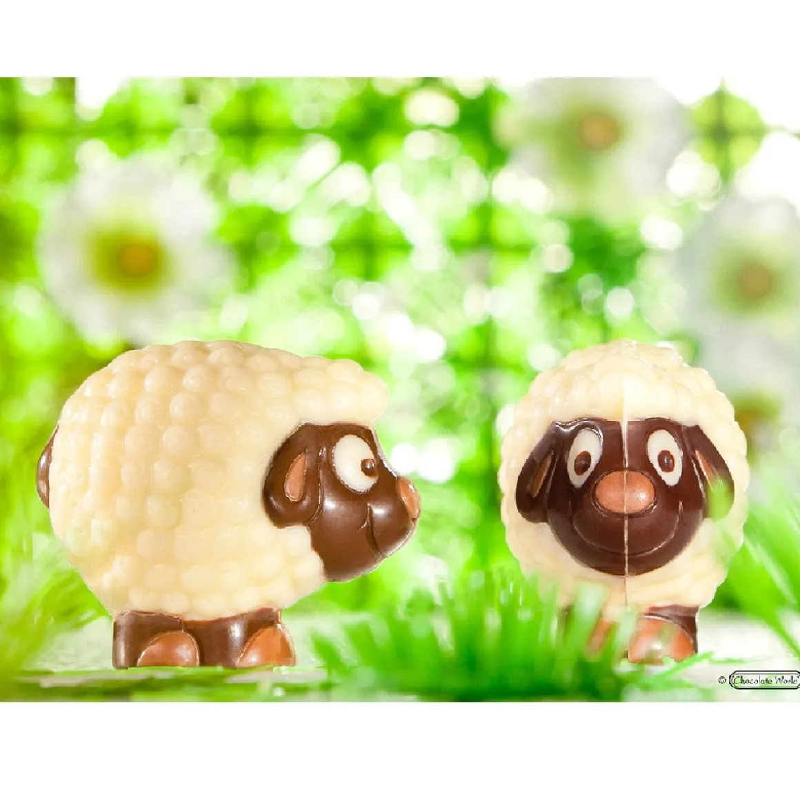 Chocolademal Chocolate World Schaap (18x) 37,5x32x12,5mm