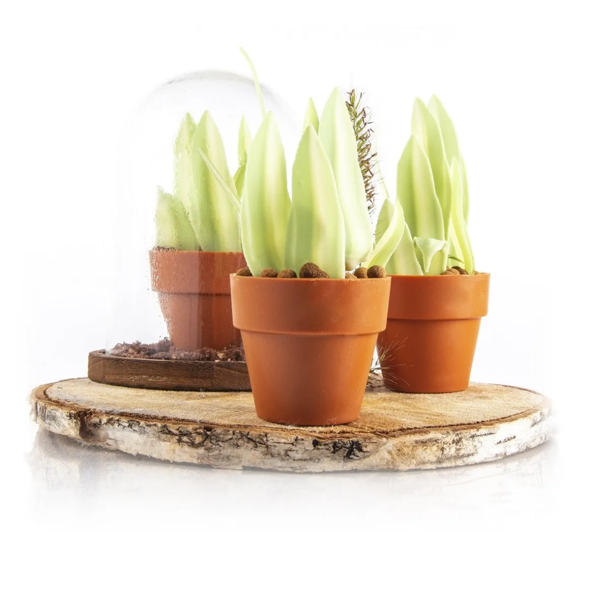 Dobla Chocoladedecoratie Blad Groen/Wit (260 stuks)