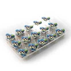 Dobla Chocoladedecoratie Piet Baret Assortiment (90 stuks)