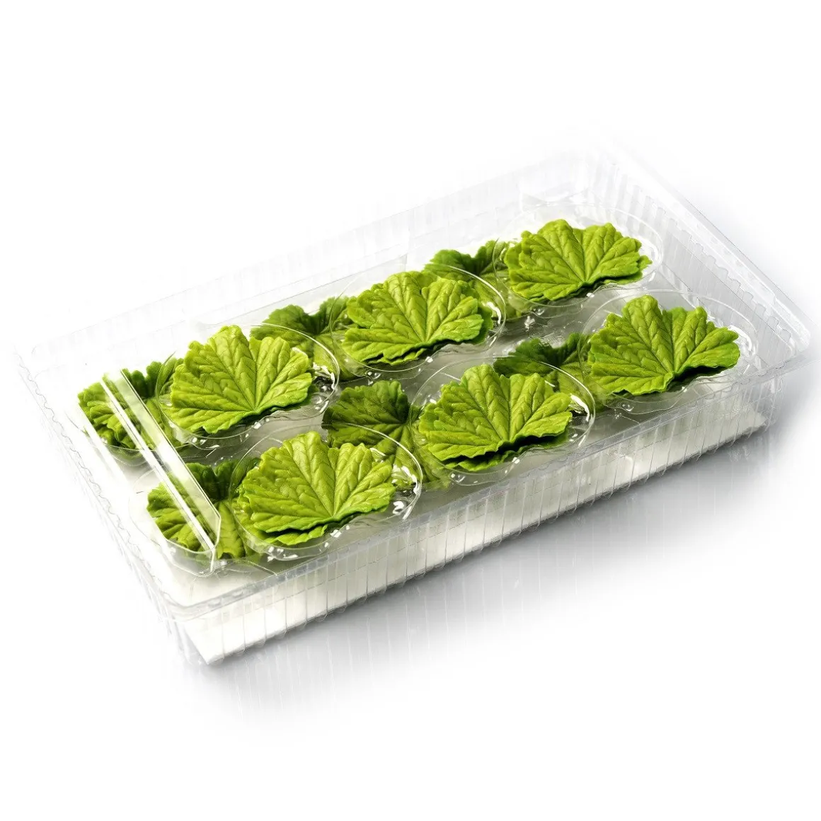 Dobla Chocoladedecoratie Lenteblad Groen (24 stuks)