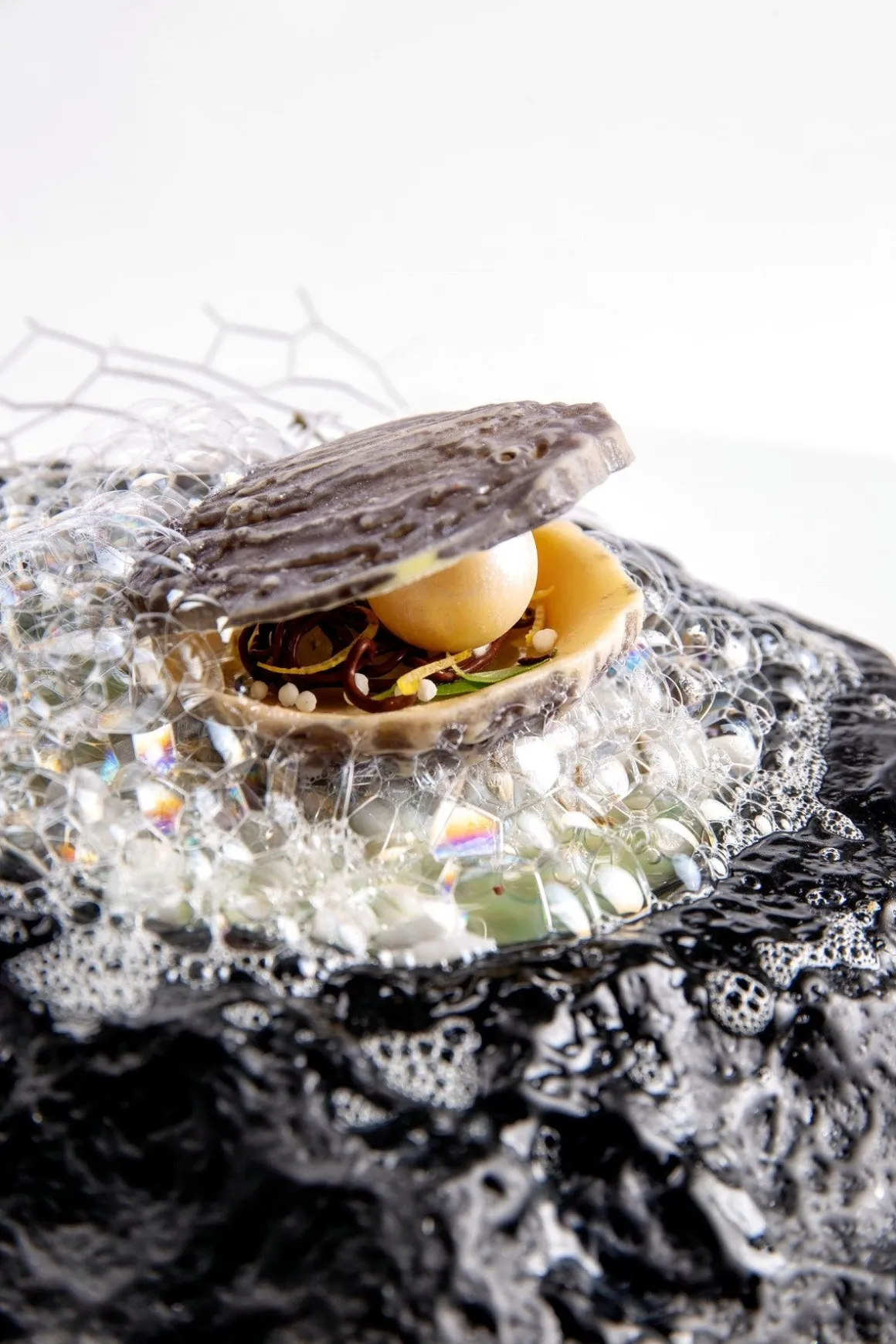 Dobla Chocoladedecoratie Oester (12 stuks)