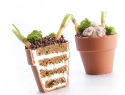 Dobla Chocoladedecoratie Bloempot Large (28 stuks)