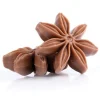Dobla Chocoladedecoratie Steranijs (54 stuks)