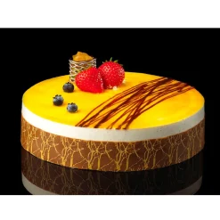 Dreidoppel Compound Mango 1kg