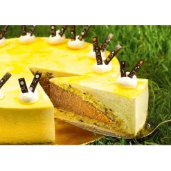 Dreidoppel Compound Perzik/Passievrucht 1kg