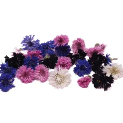 Eetbare Gedroogde Korenbloemen (25 stuks)