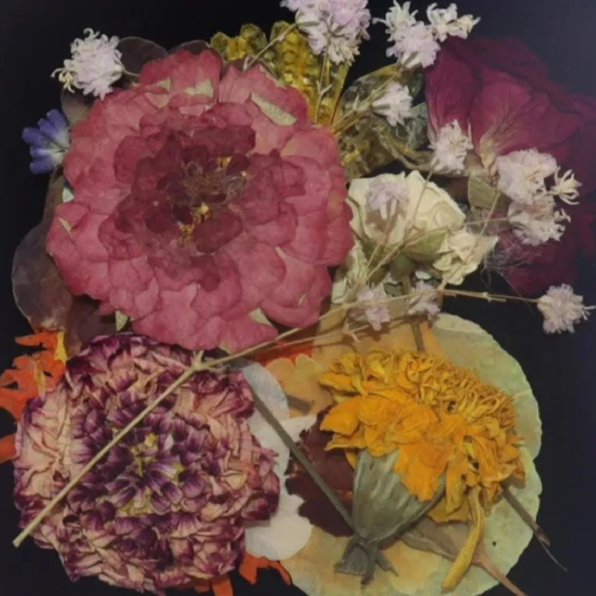 Eetbare Geperste Bloementuin met Steel (15 stuks)