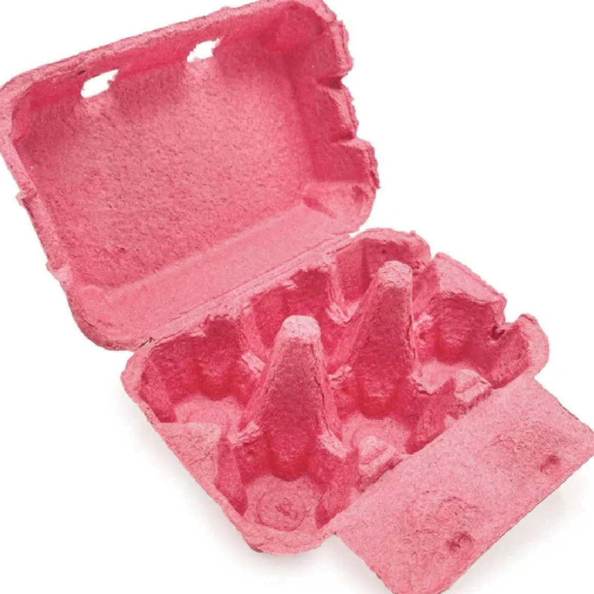 Eierdoos Roze 6 Eieren