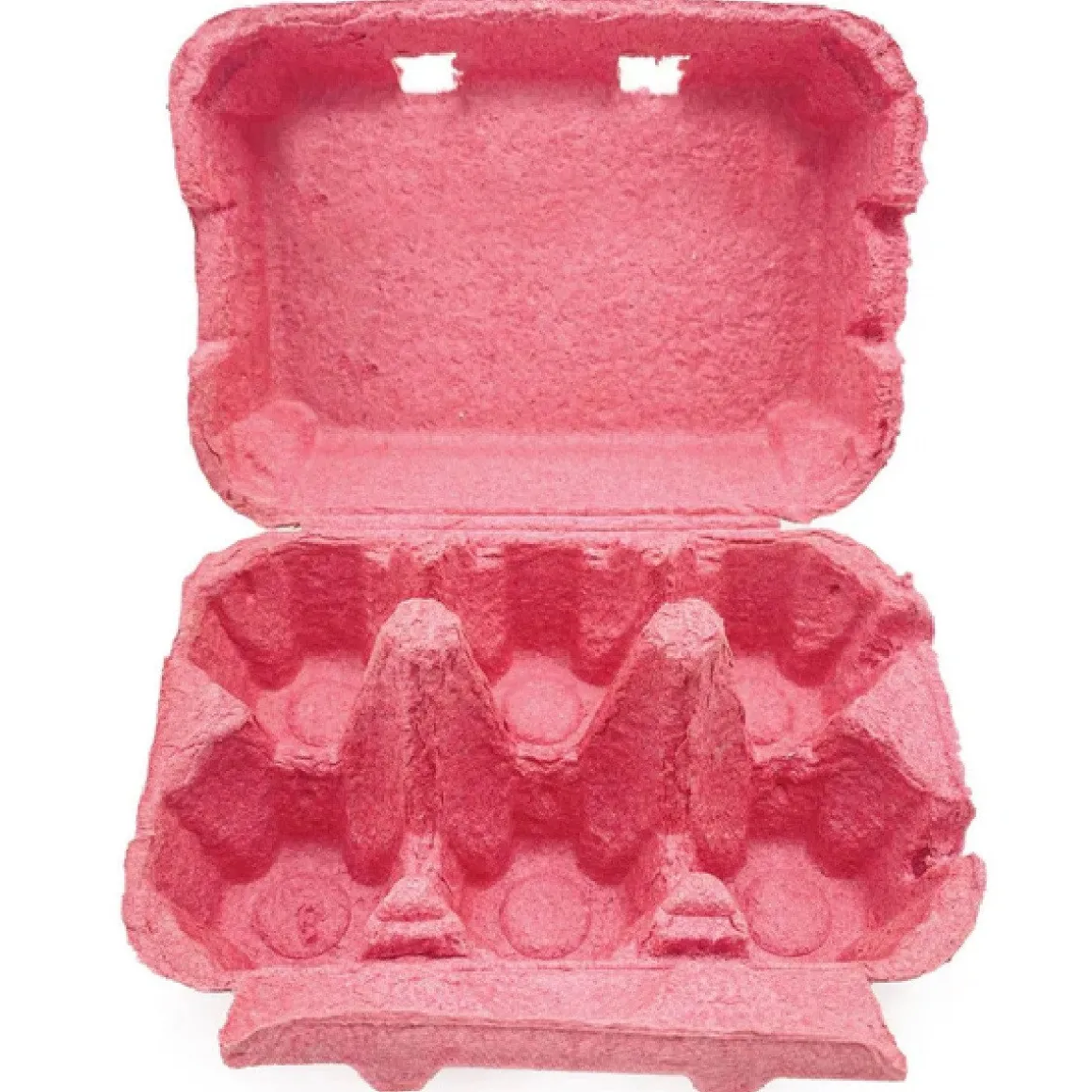 Eierdoos Roze 6 Eieren