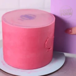 Frost Form Flexi Botercrème Plaat Rond 21,6cm Set/2