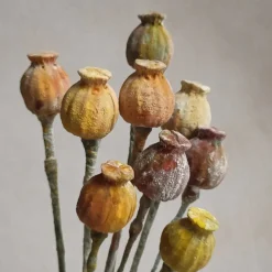 Katy Sue Mold Diverse Bloembladeren