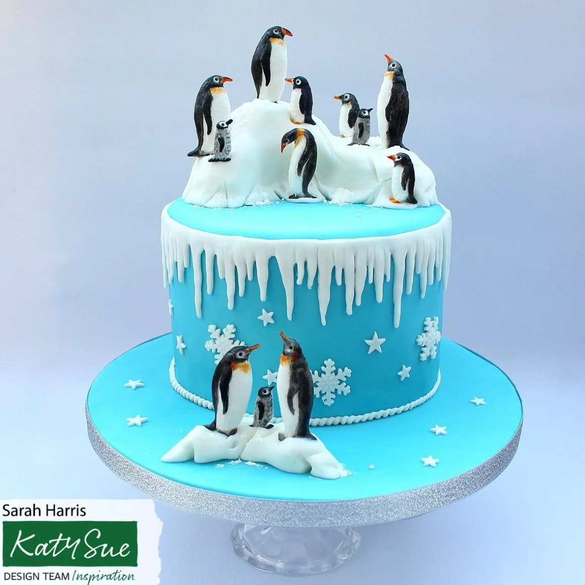 Katy Sue Mold IJspegels