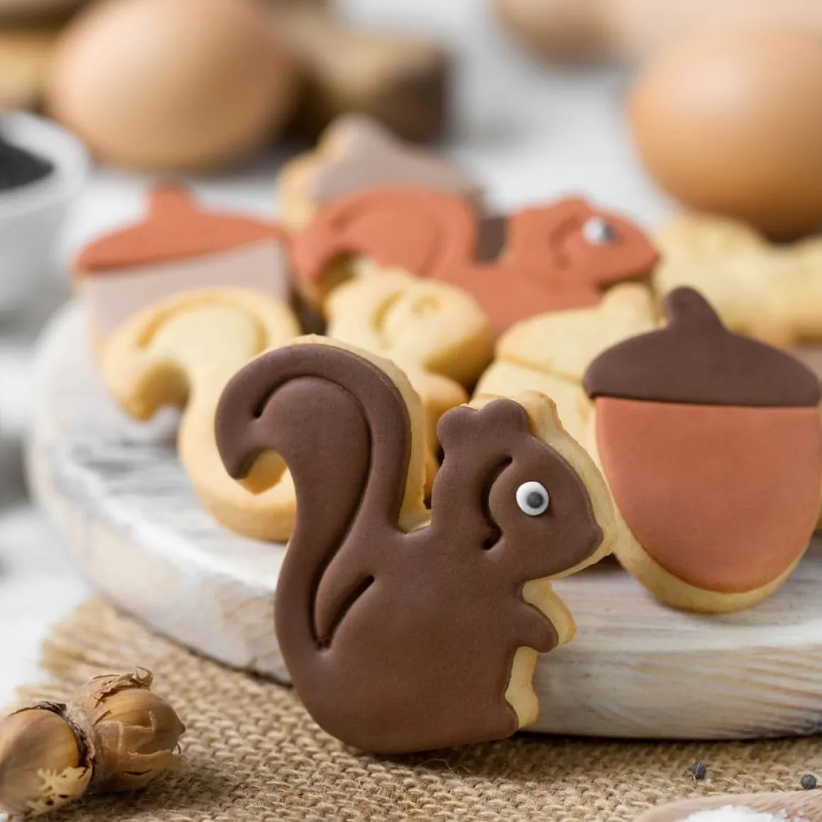 Koekjes Uitstekerset Eekhoorn & Eikel