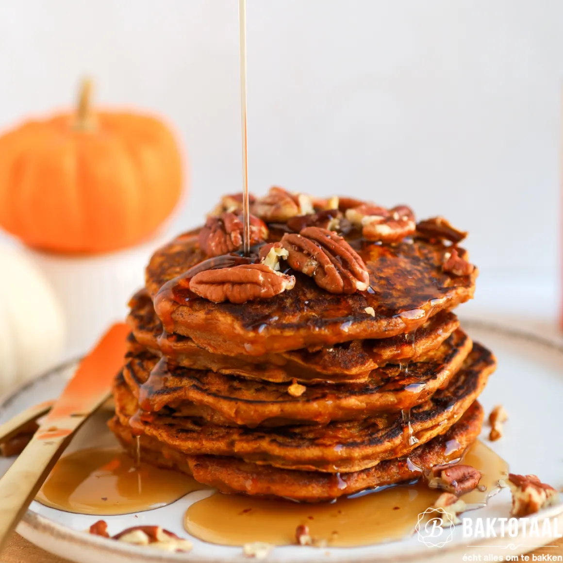 Lichte Basterdsuiker Van Gilse 600g