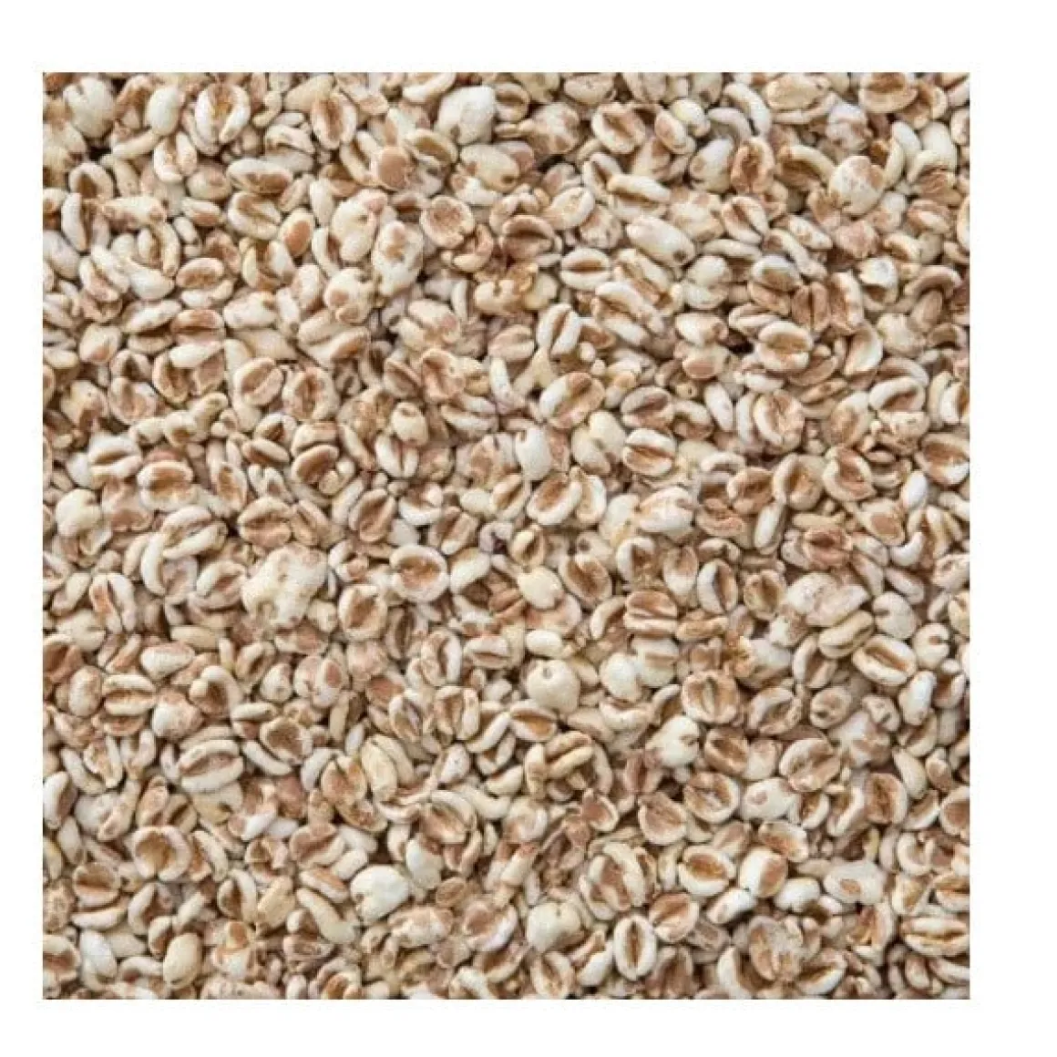 Molen de Hoop Gepofte Spelt 200g