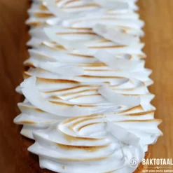 Molen de Hoop Geraspte Kokos 250gr