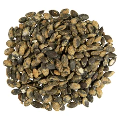 Nederlandse Pompoenpitten Honing 150g