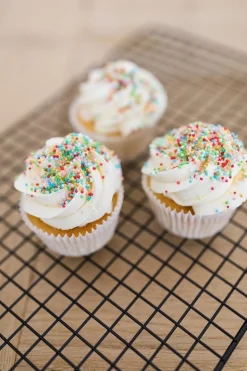 Patisse Koel/Druip Rooster 40x25cm