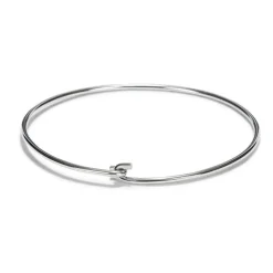 Patisse Ring t.b.v. Uitstekers RVS Ø12cm