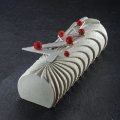 Pavoni Siliconen Vorm Comet 250x88mm