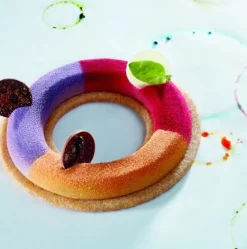 Pavoni Siliconen Vorm Tondo Ø100x10mm (8) 30x40cm