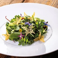 Pavoni Siliconen Vorm Vlinder 40x39mm (12)30x20cm