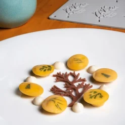 Pavoni Siliconen Vorm Wood Ø78x48mm (10) 30x20cm