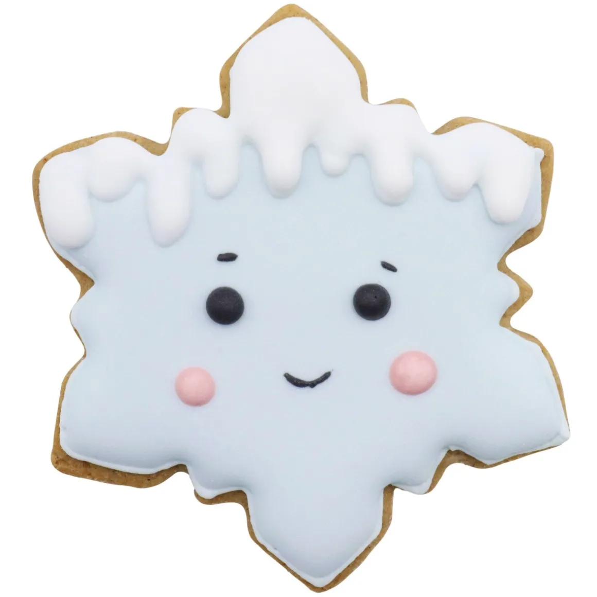 PME Koekjes Uitstekers Sneeuwvlokken Set/3