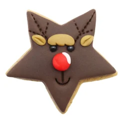 PME Koekjes Uitstekers Sterren Set/3