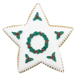 PME Koekjes Uitstekers Sterren Set/3