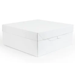 PME Taartdoos 22,5x22,5x15cm