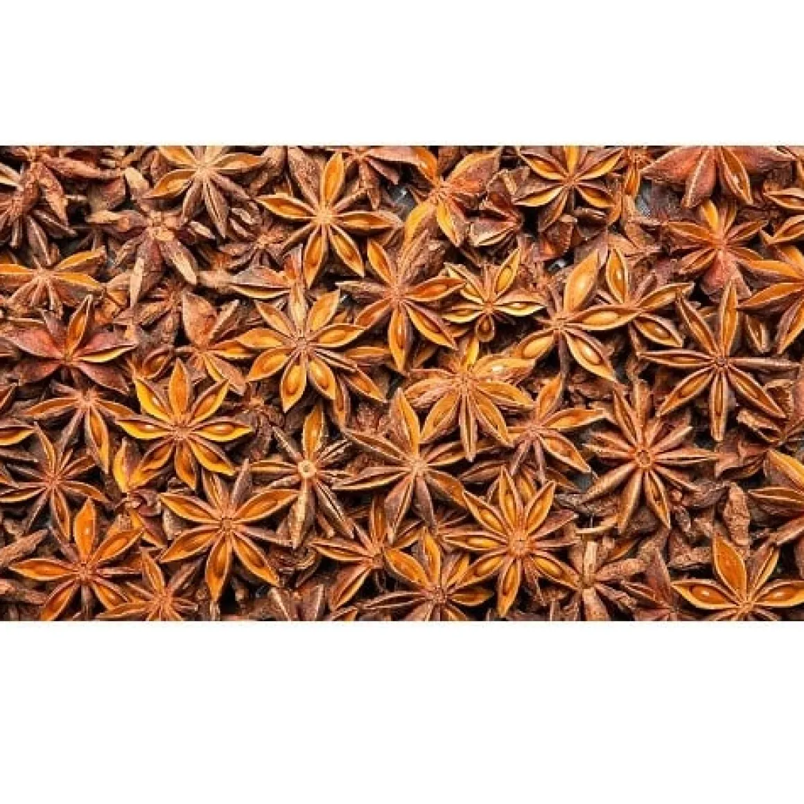 Polak Steranijs Heel 600 gram