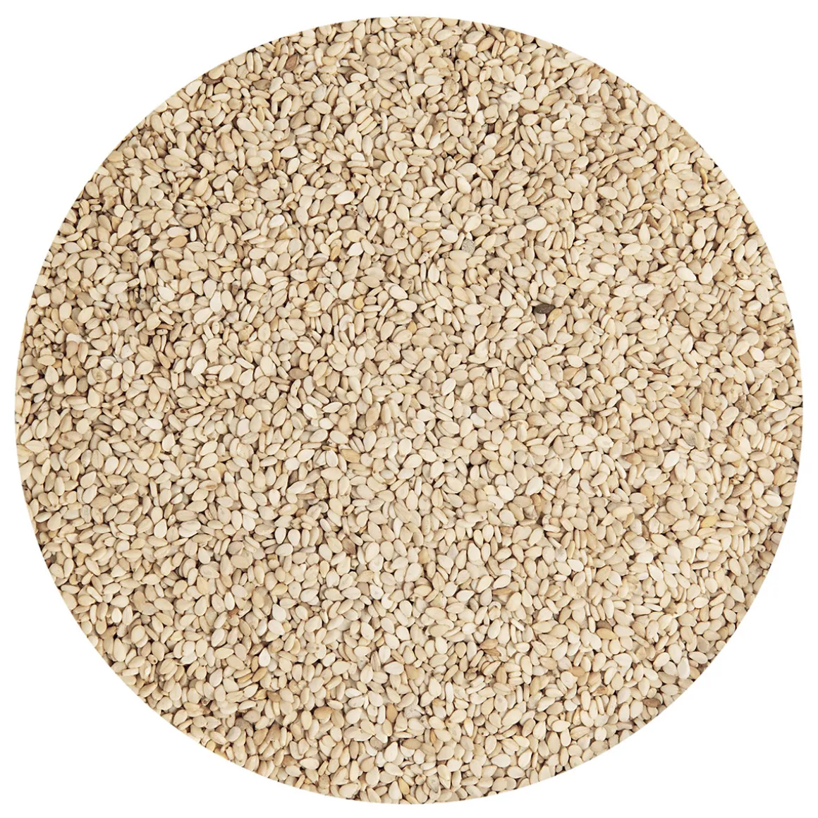 Sesamzaad Ongepeld Geroosterd 250g