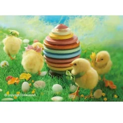 Silikomart Chocolade Vormset Ei Ø305x15(h)mm**