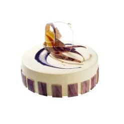 Silikomart Siliconen Bakvorm Rond Ø24x4,2cm + Ring