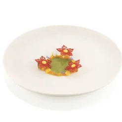 Silikomart Siliconen Mat Botanica (34x) Ø8,4x0,2cm