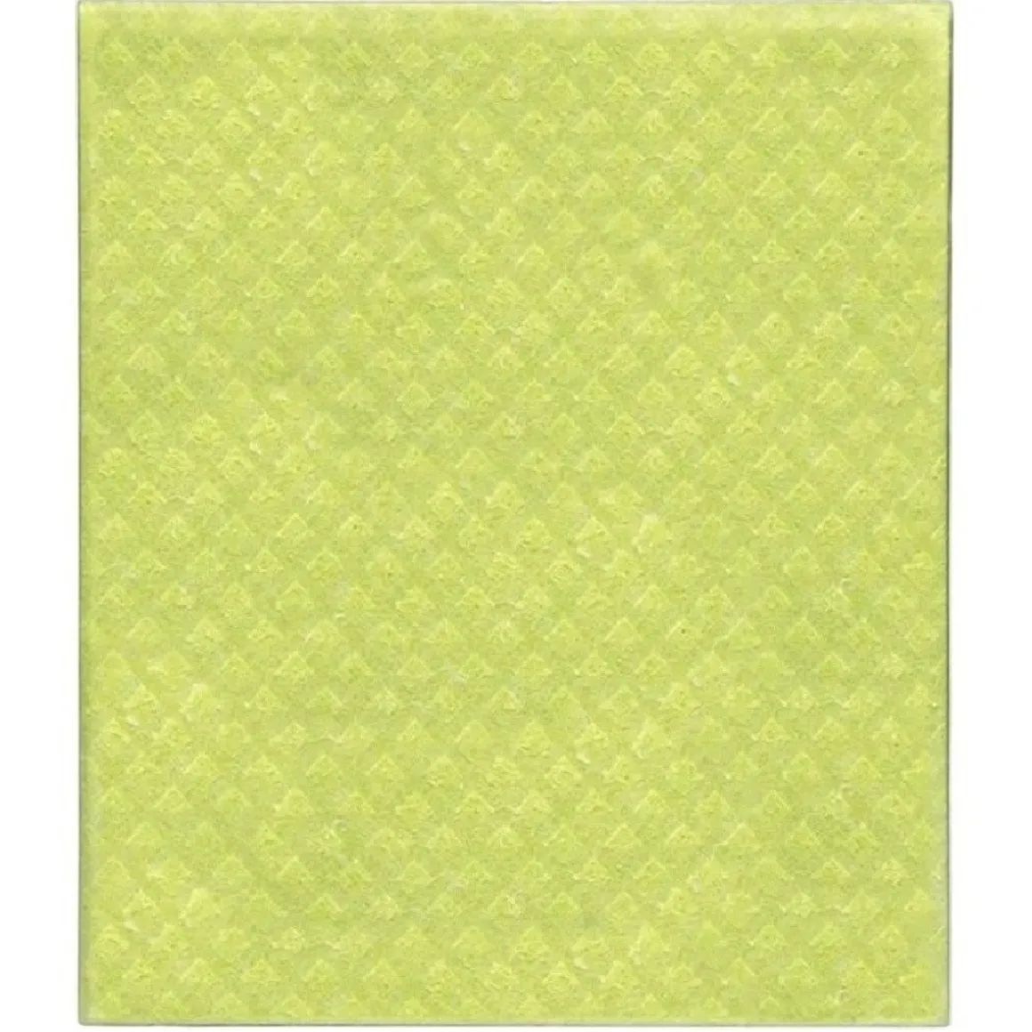 Sponsdoek Composteerbaar 20x17cm 5st.