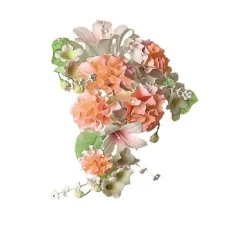 Suikerbloem Boeket Gemengd Zalm/Perzik