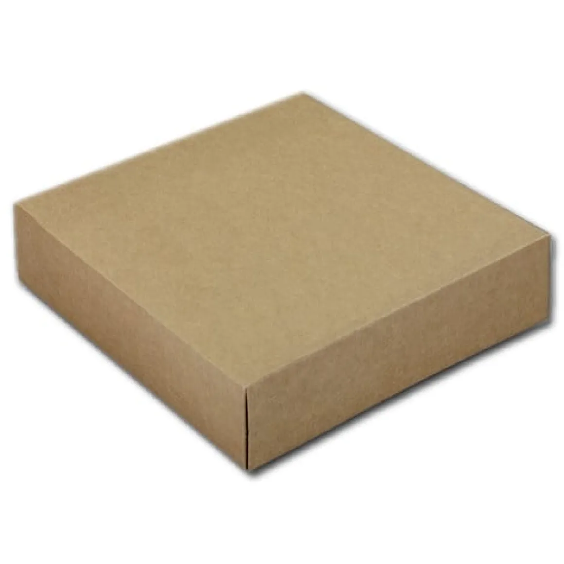 Taartdoos 19x19x5cm. Kraft 50st