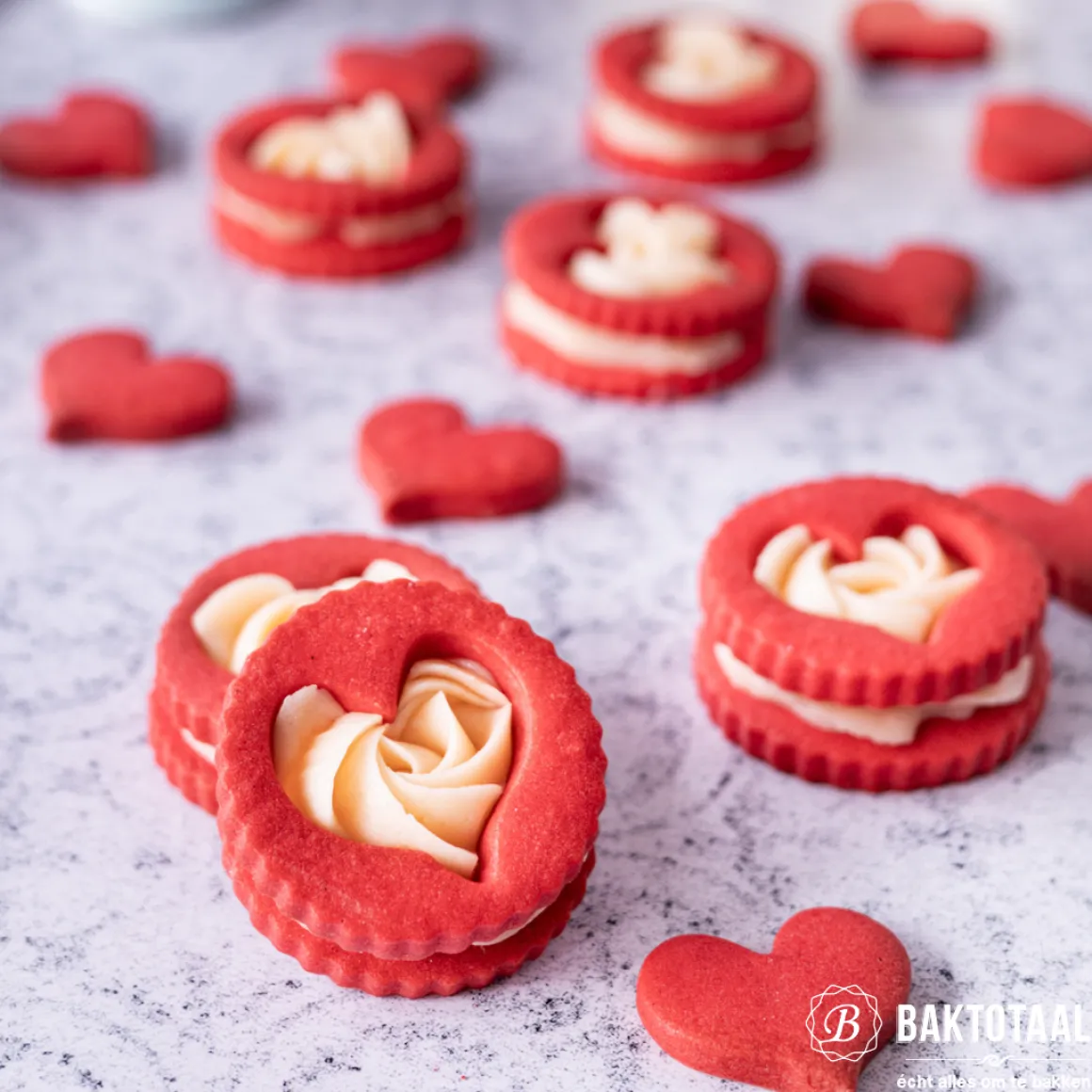 Uitsteker Prof. Rond Gekarteld RVS Ø6cm