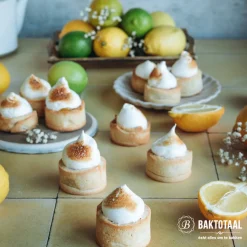 Uitsteker Prof. Rond Glad RVS Ø5cm