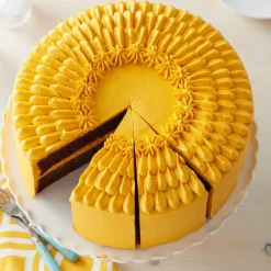 Wilton Performance Taartpan Rond Ø30x5cm