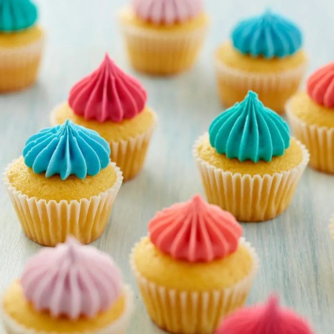 Wilton Spuitmondje #6B en Spuitzakken Set/3